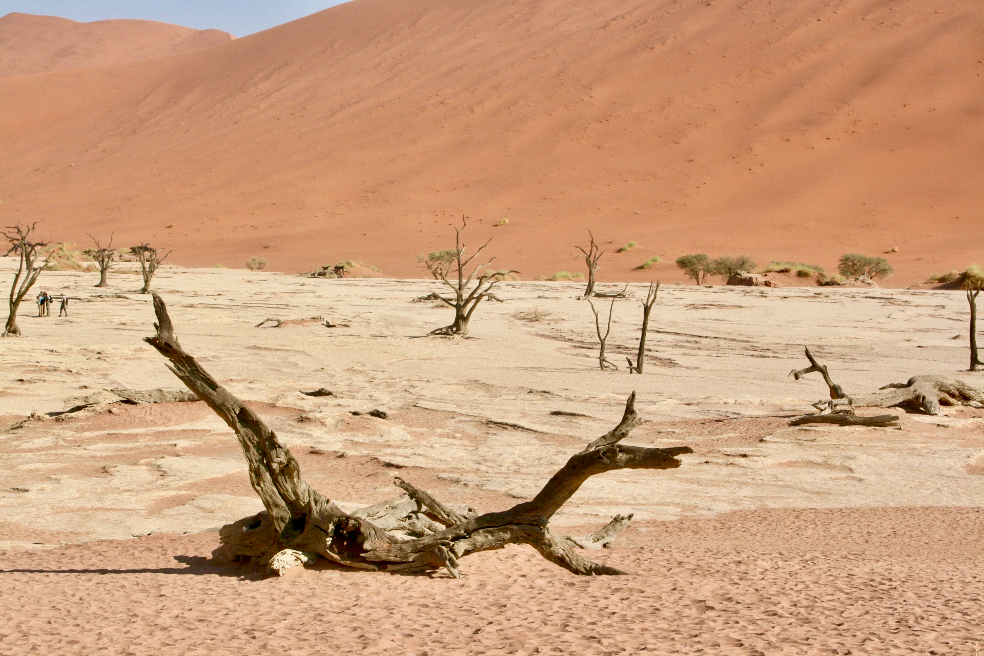 Deadvlei in Namibië