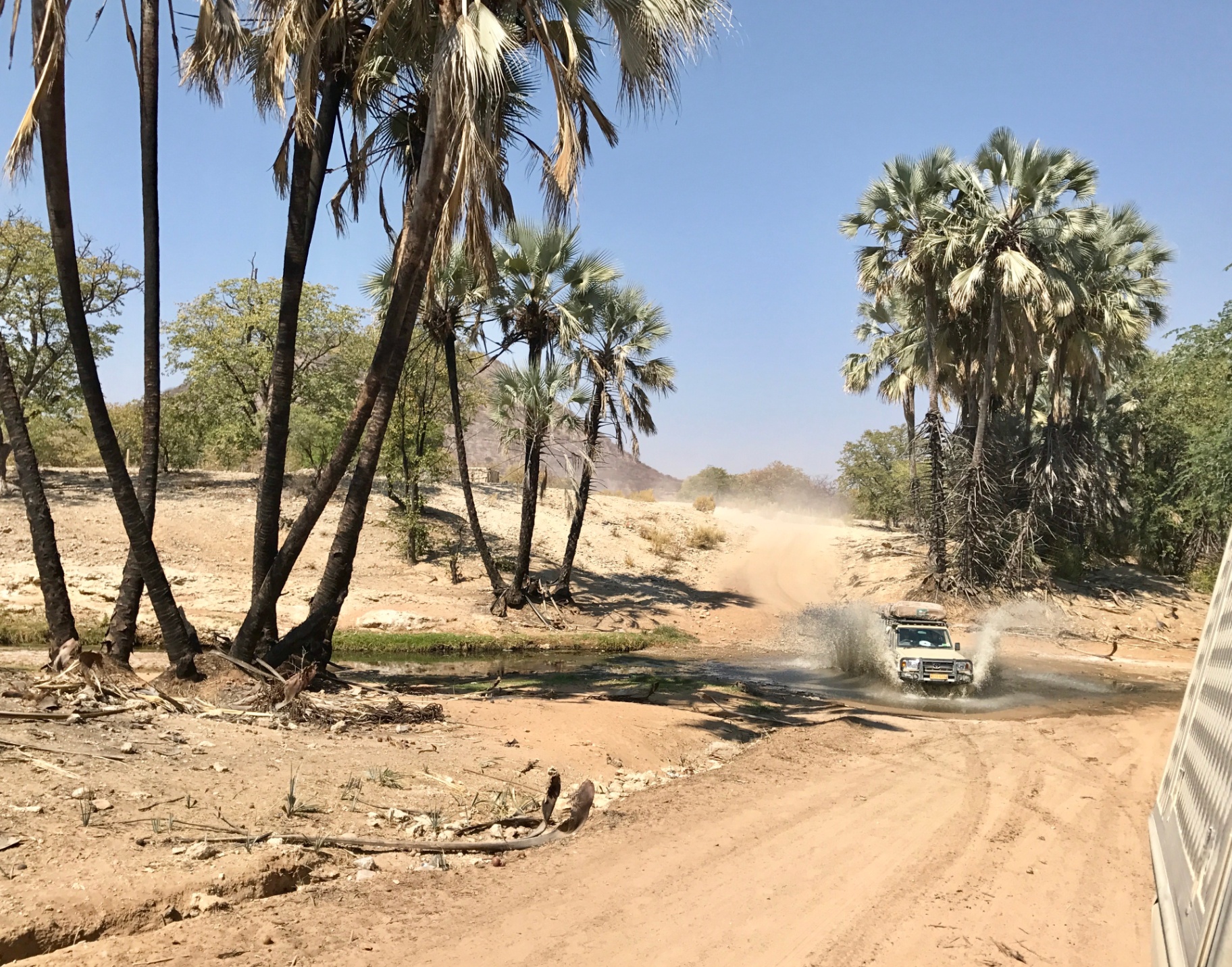 Offroad avontuur met palmbomen